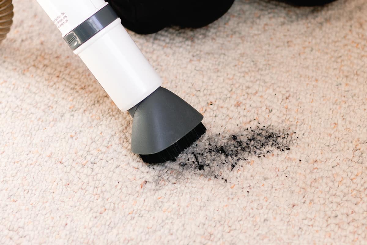 How To Remove Ash From A Carpet
