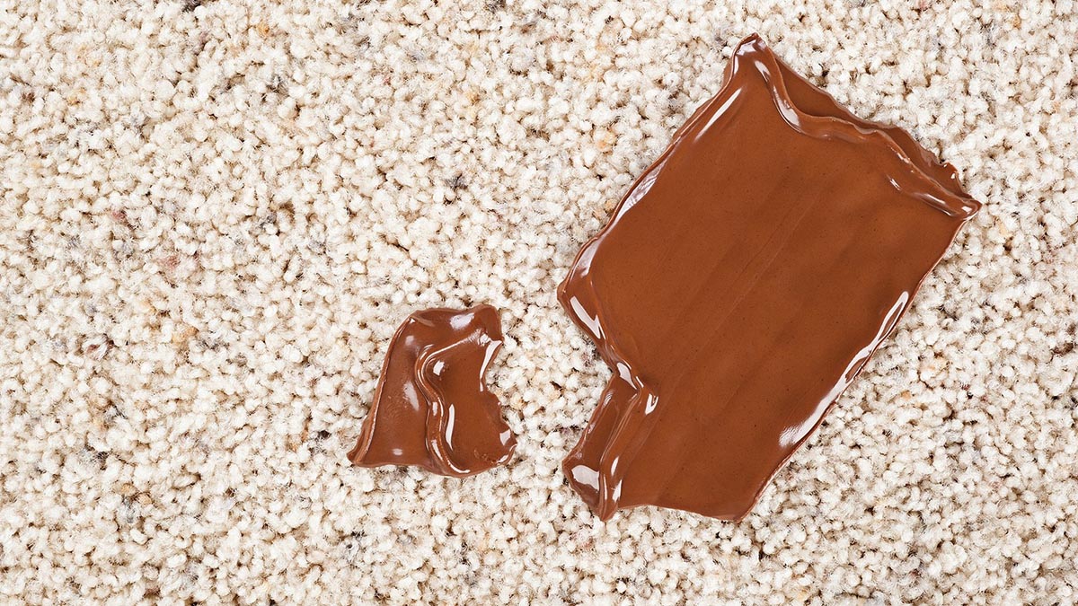 How To Remove Chocolate Milk Stains From The Carpet