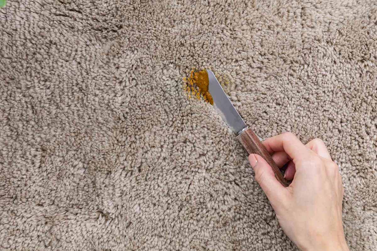 How To Remove Curry Stain From A Carpet
