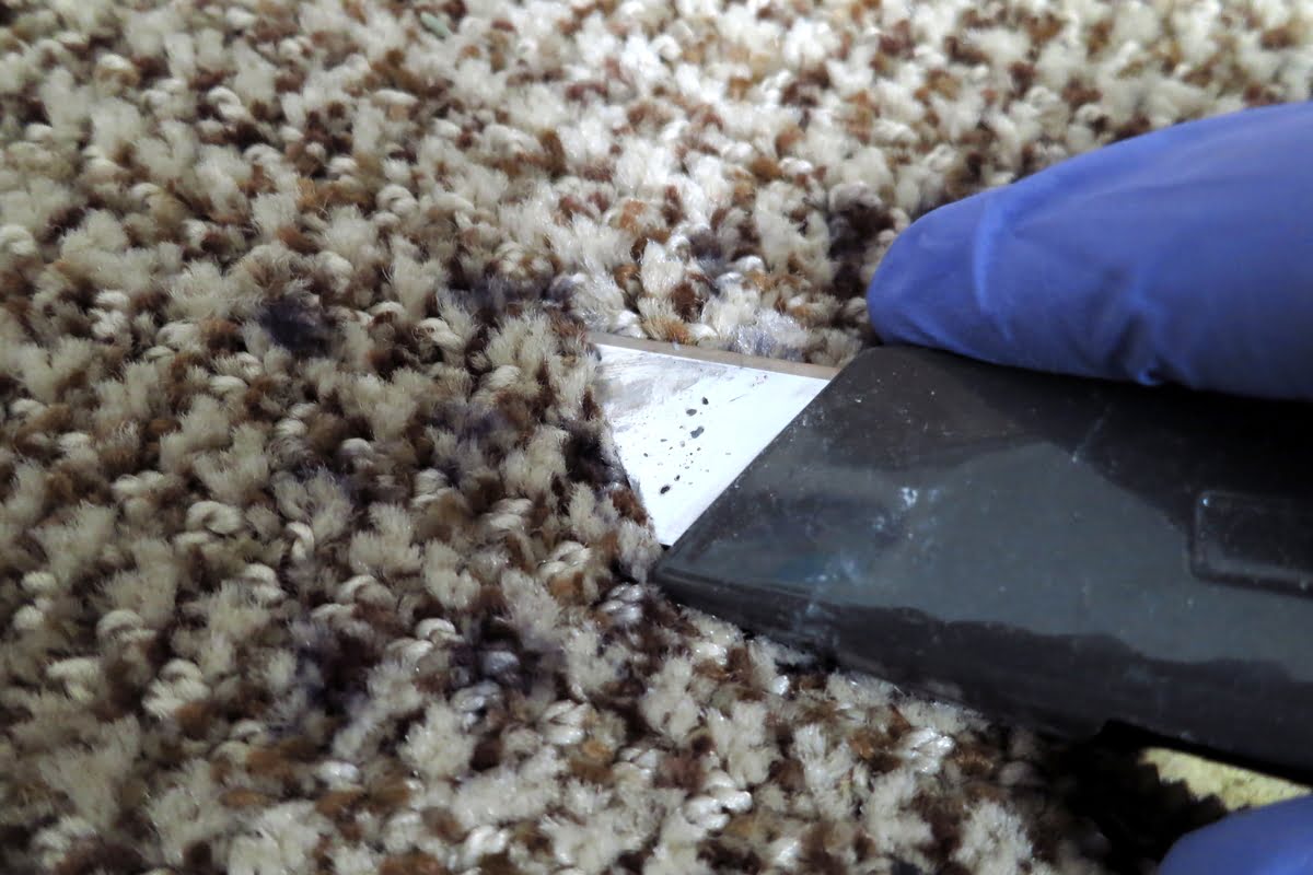 How To Remove Duct Tape Residue From The Carpet