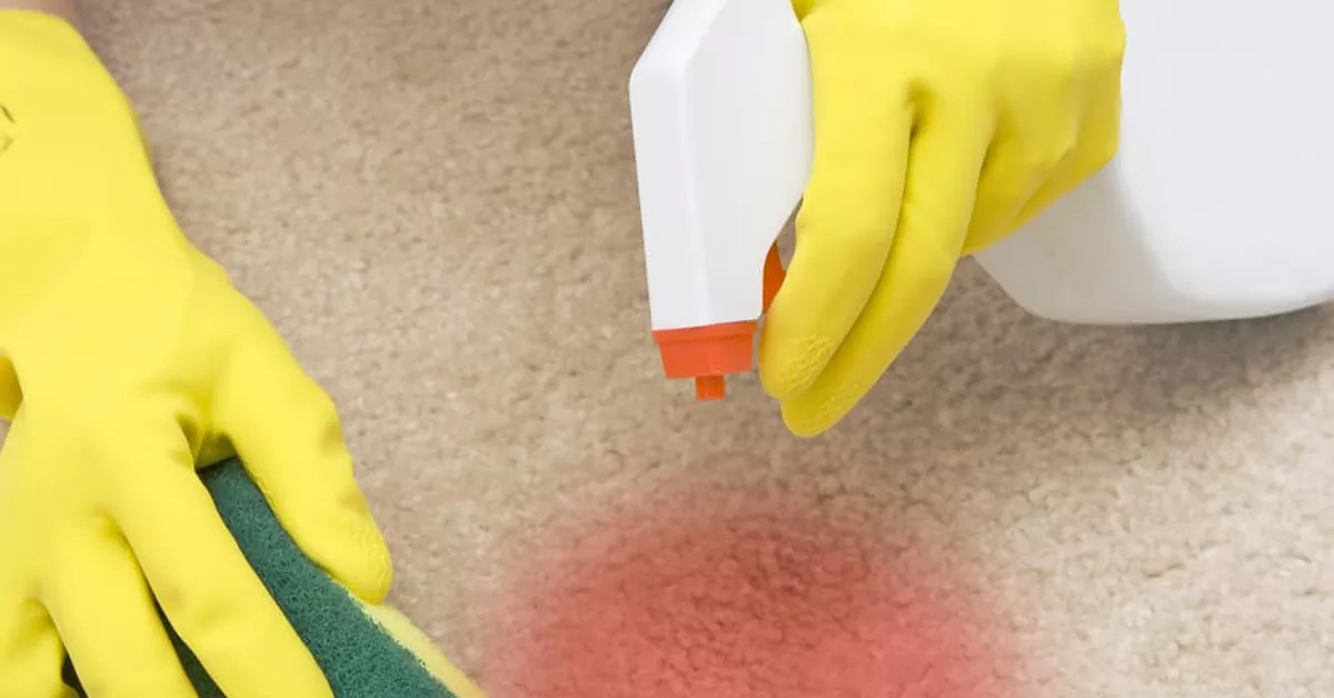 How To Remove Gatorade Stain From A Carpet