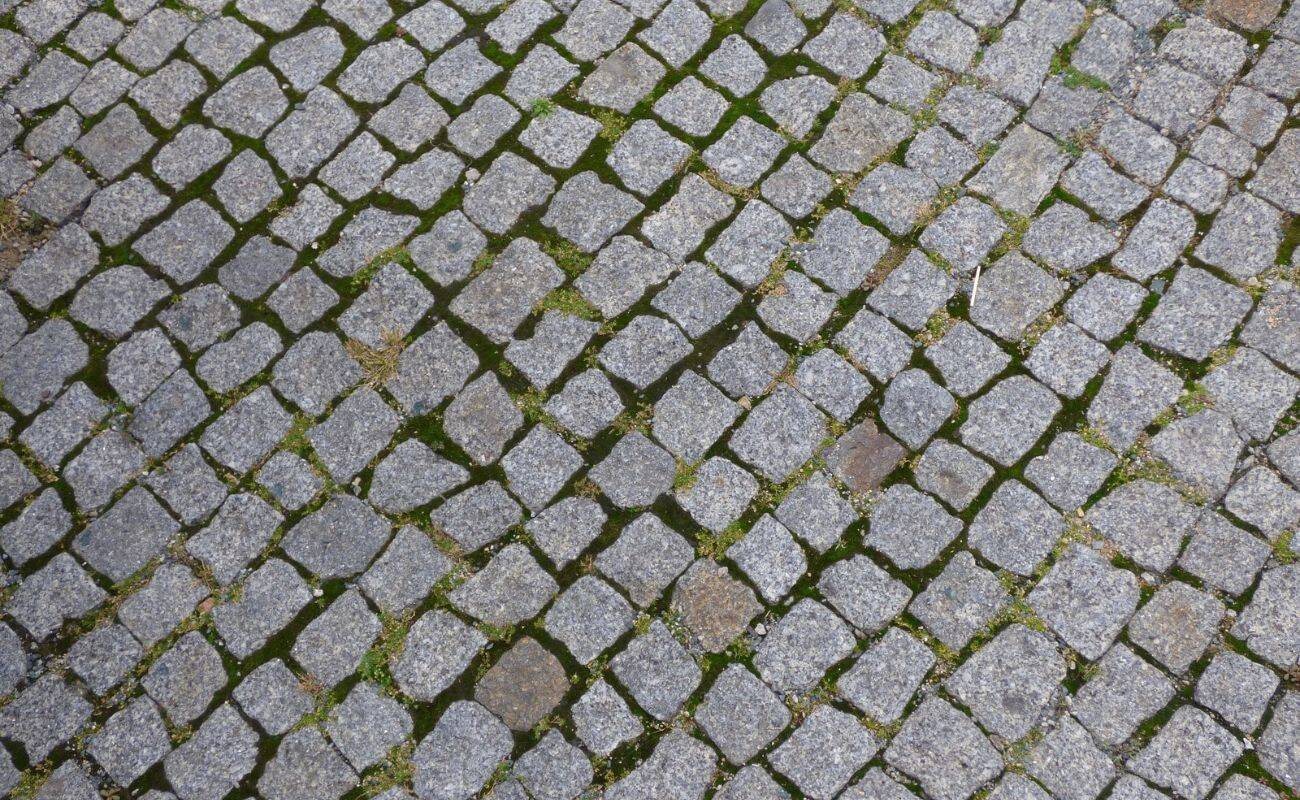 How To Remove Mold From Patio Pavers