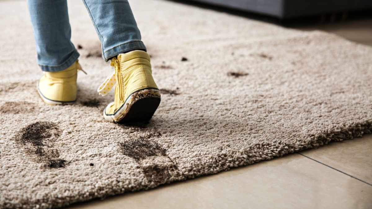How To Remove Mud From A Carpet