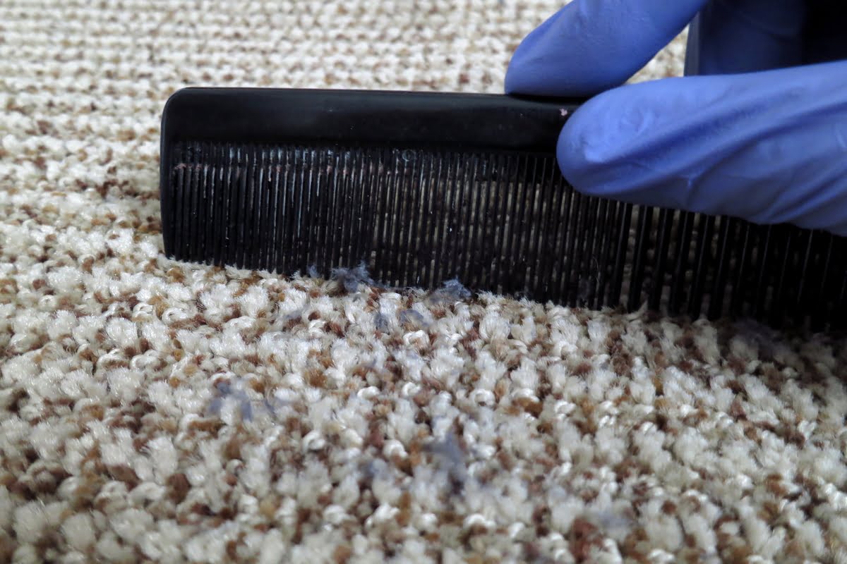 How To Remove Sticky Residue From A Carpet