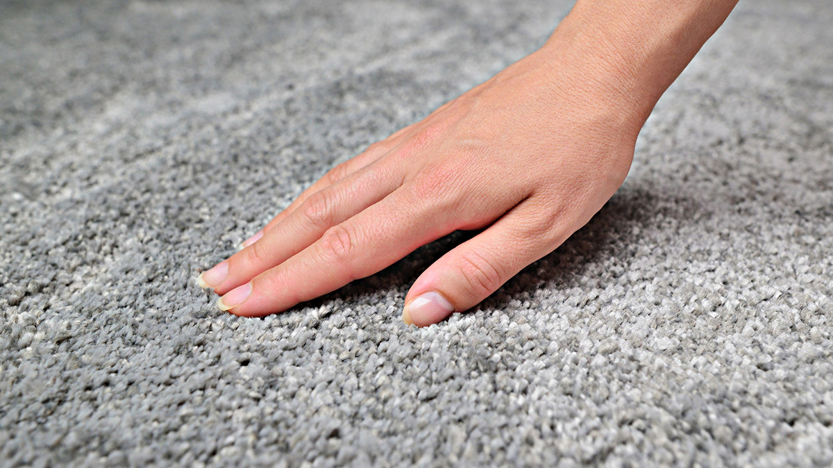 How To Revive A Matted Carpet