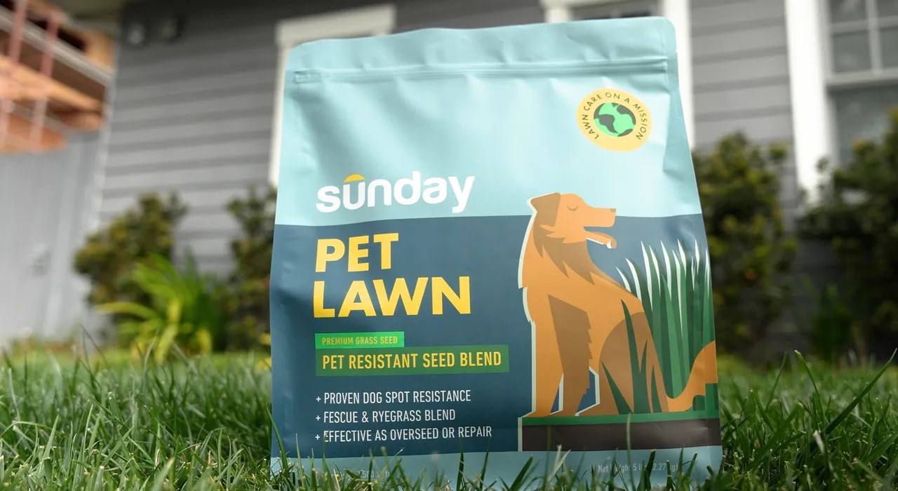 How To Seed Grass With Dogs