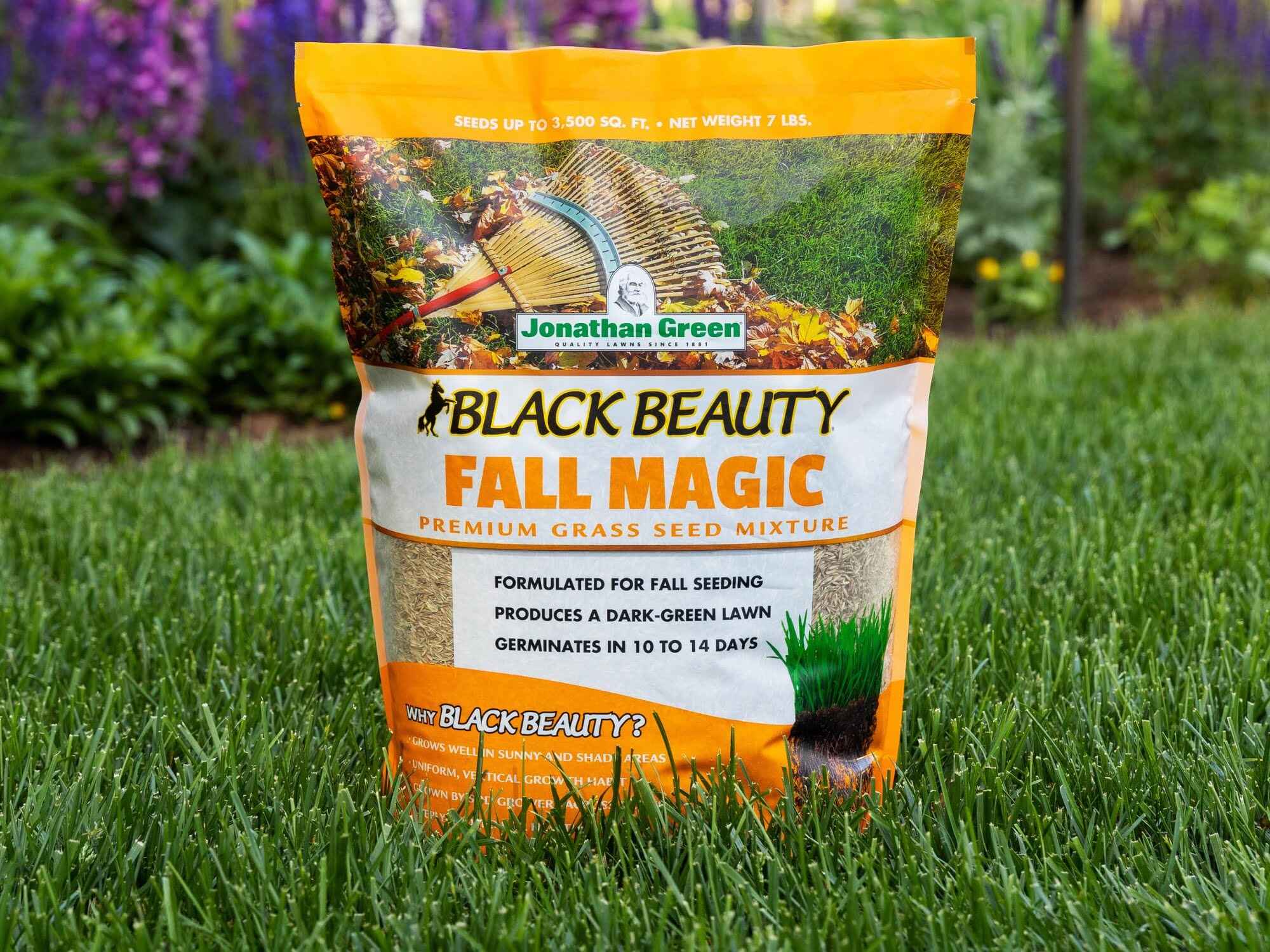 How To Seed Lawn In Fall