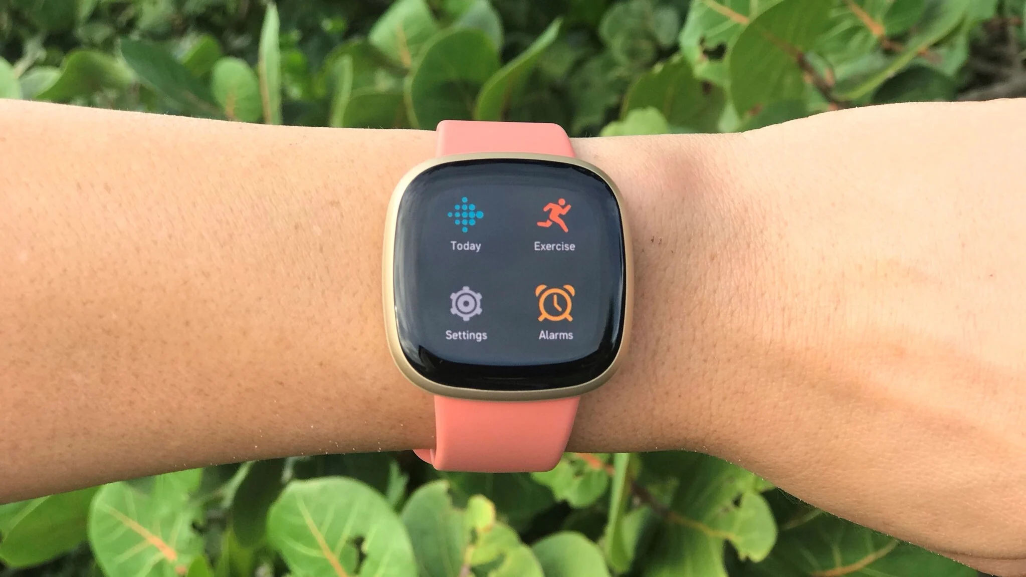 Fitbit versa online settings