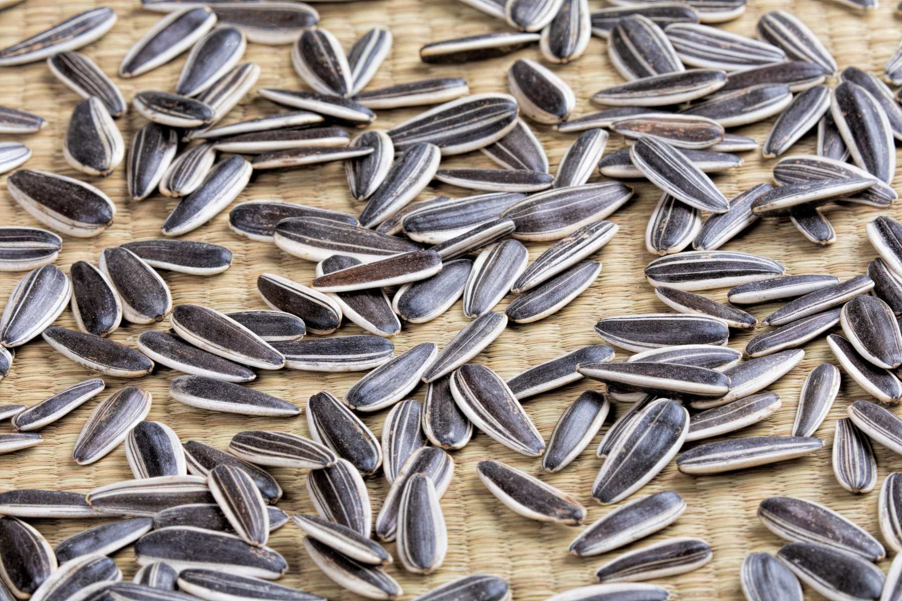 How To Shell Sunflower Seeds