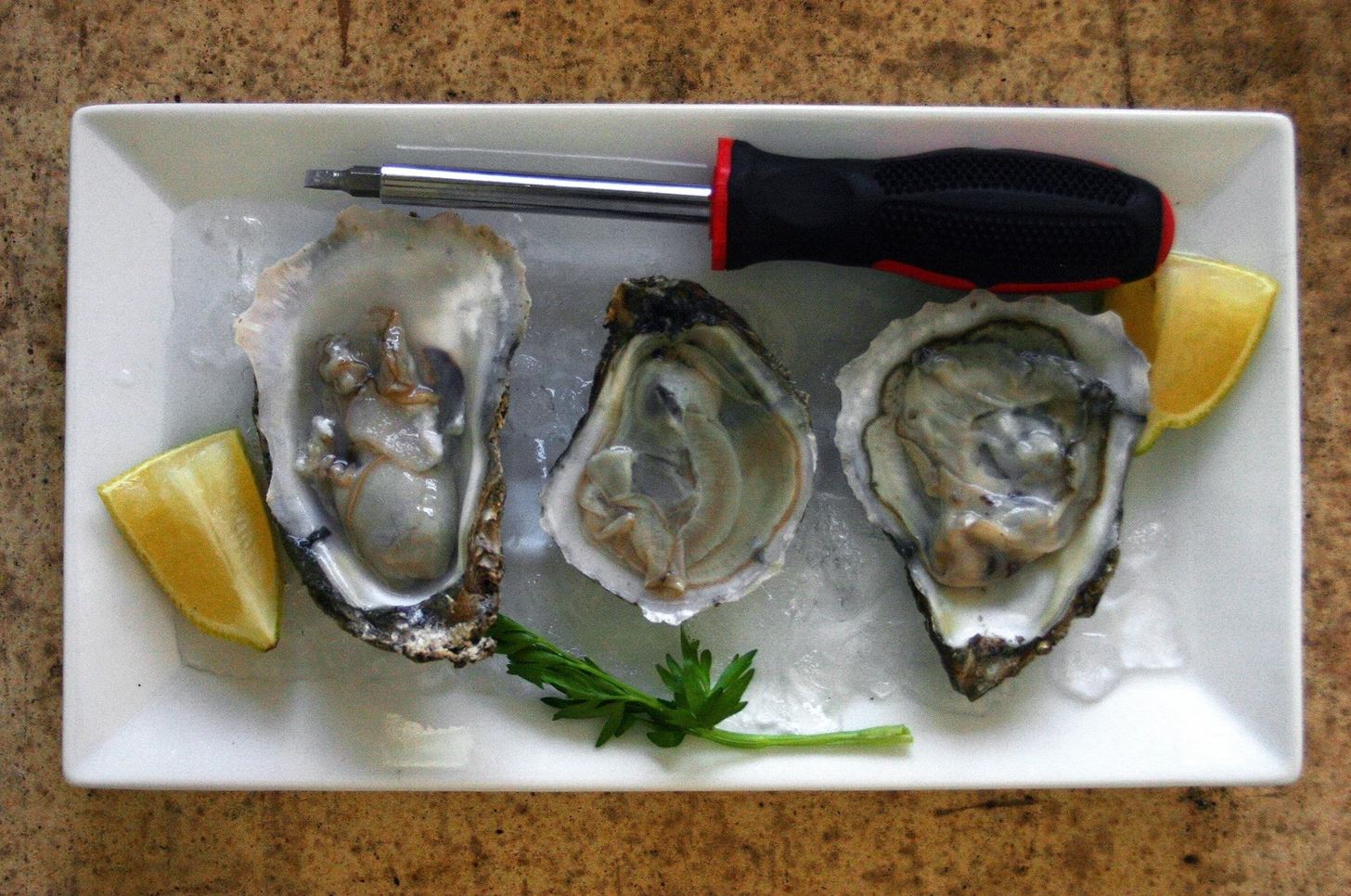 How To Shuck Oysters With A Screwdriver