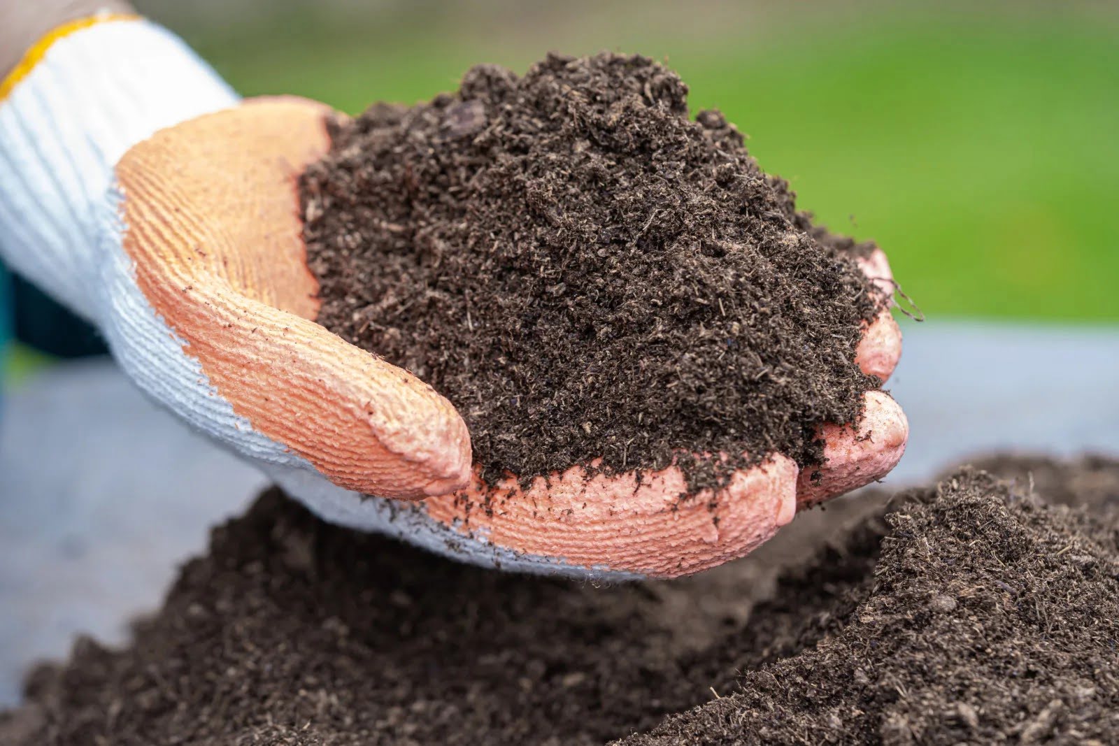 How To Spread Peat Moss Over Grass Seed