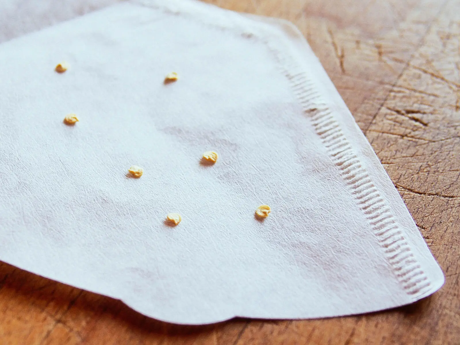 How To Sprout Seeds Paper Towel