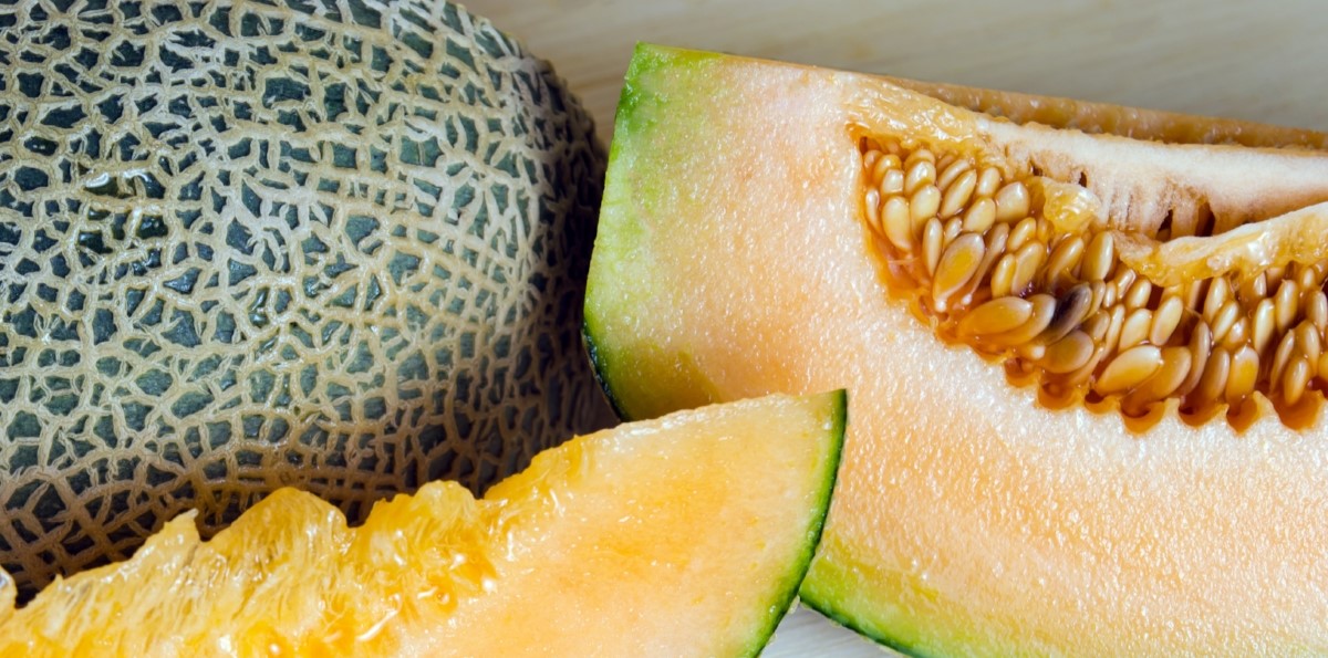 How To Start Cantaloupe Seeds
