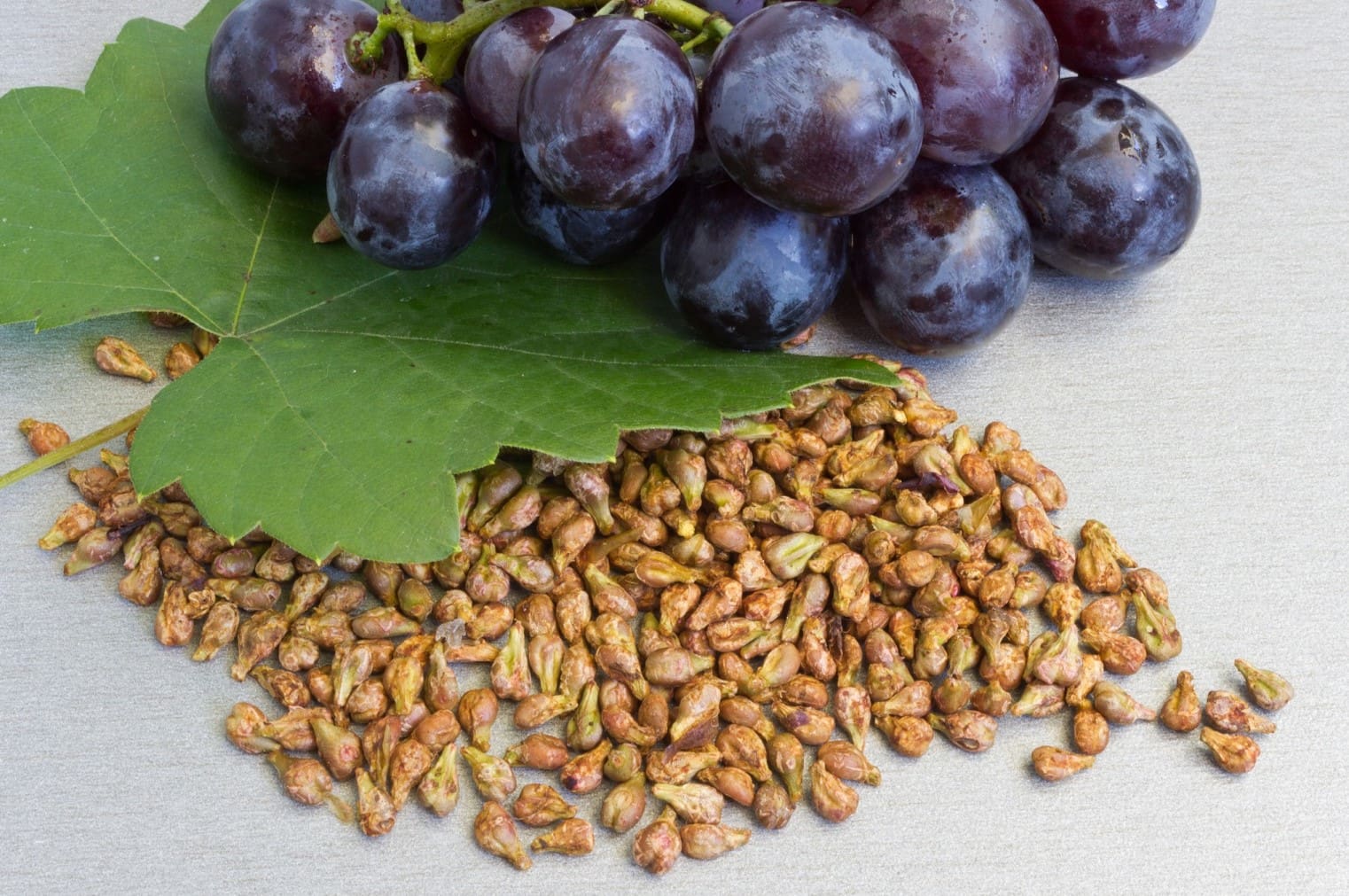 How To Start Grape Seeds