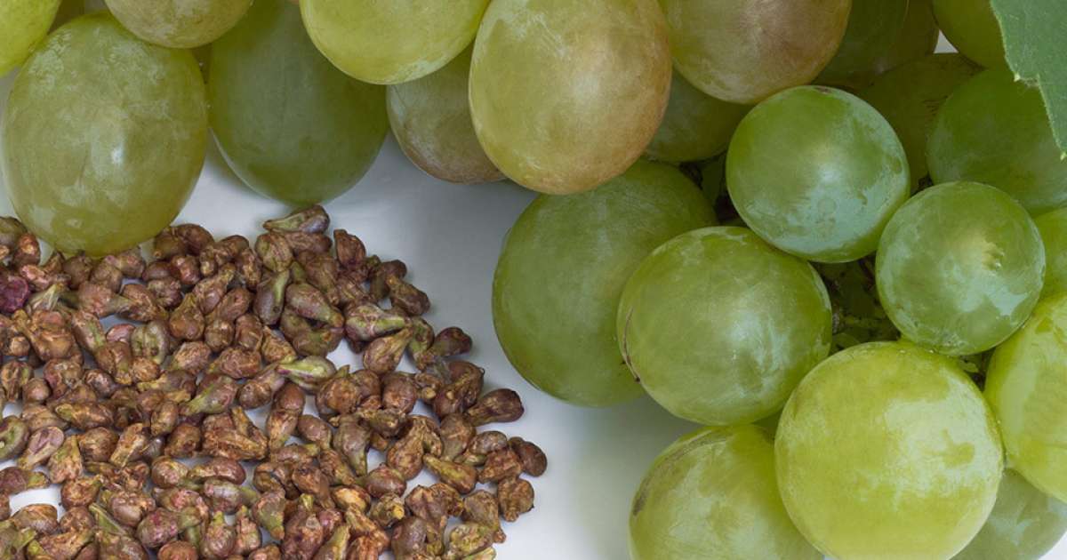 How To Start Grapes From Seeds