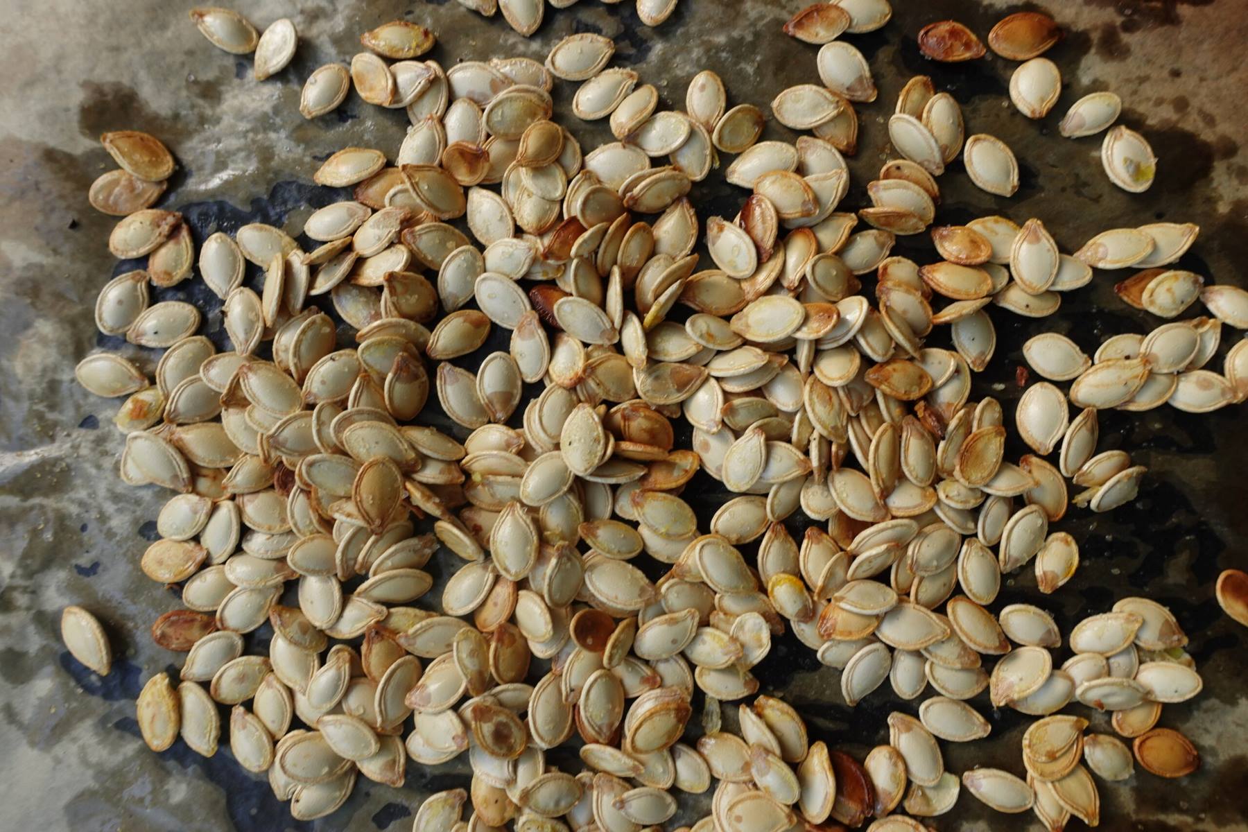 How To Start Squash Seeds