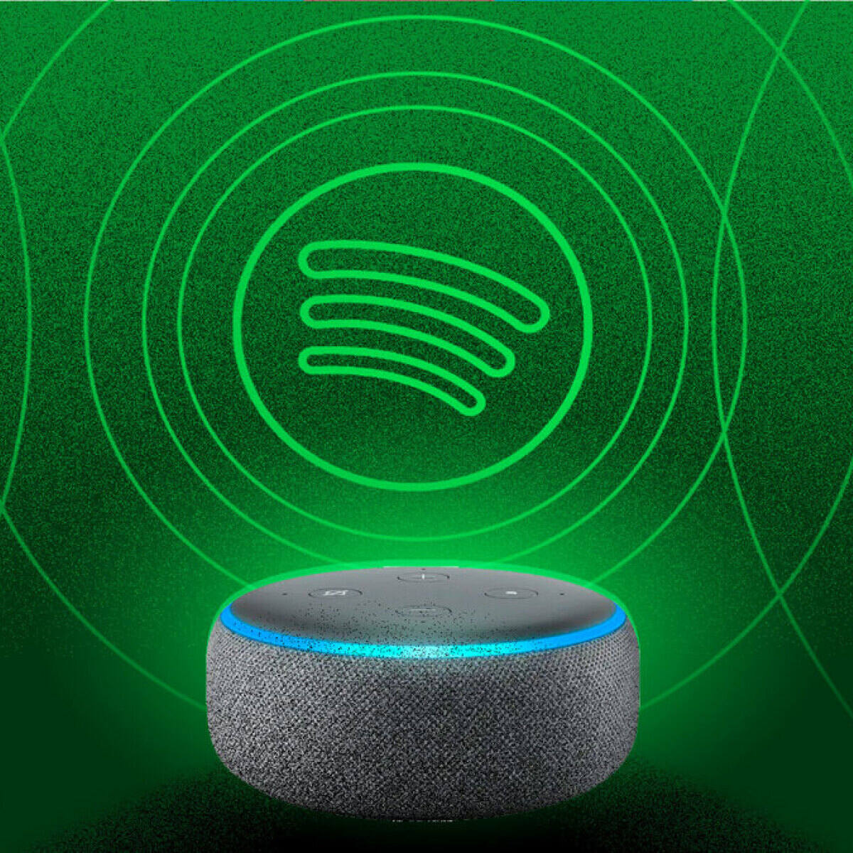 Is echo dot 2024 compatible with spotify