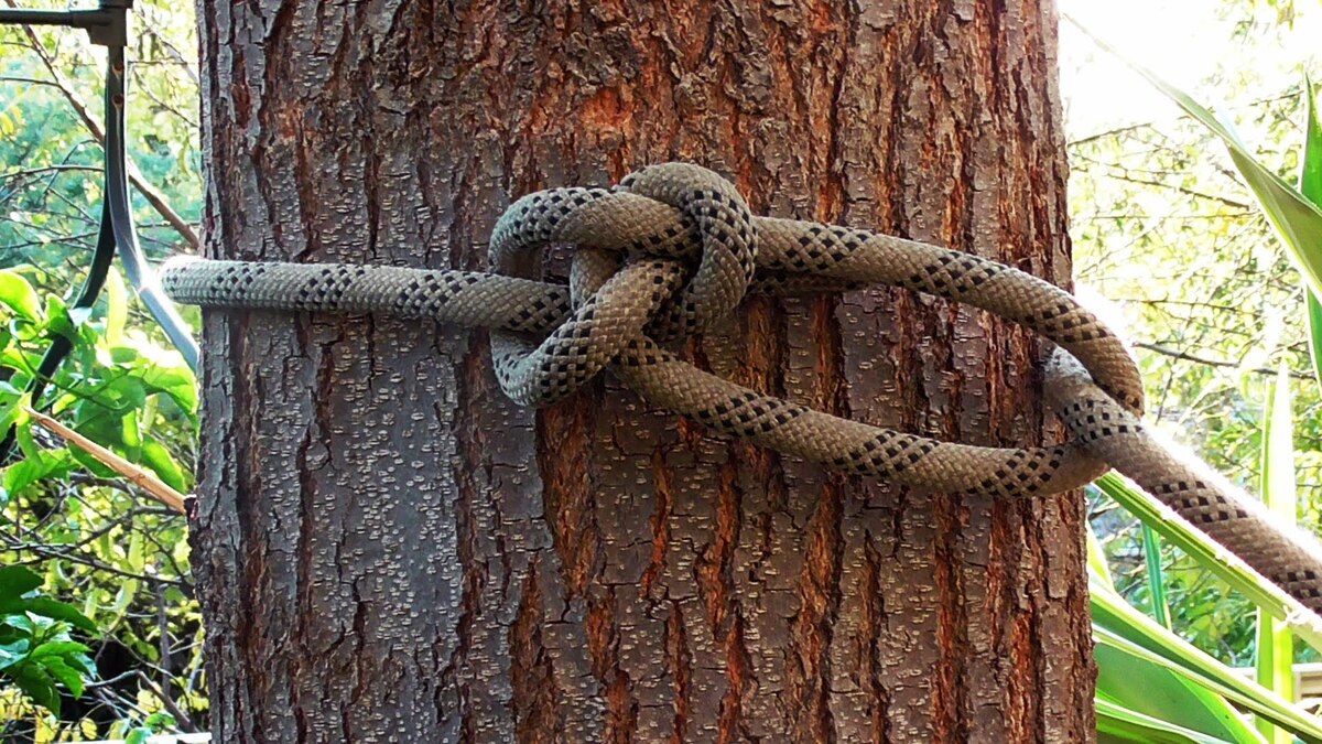 How To Tie A Hammock Rope