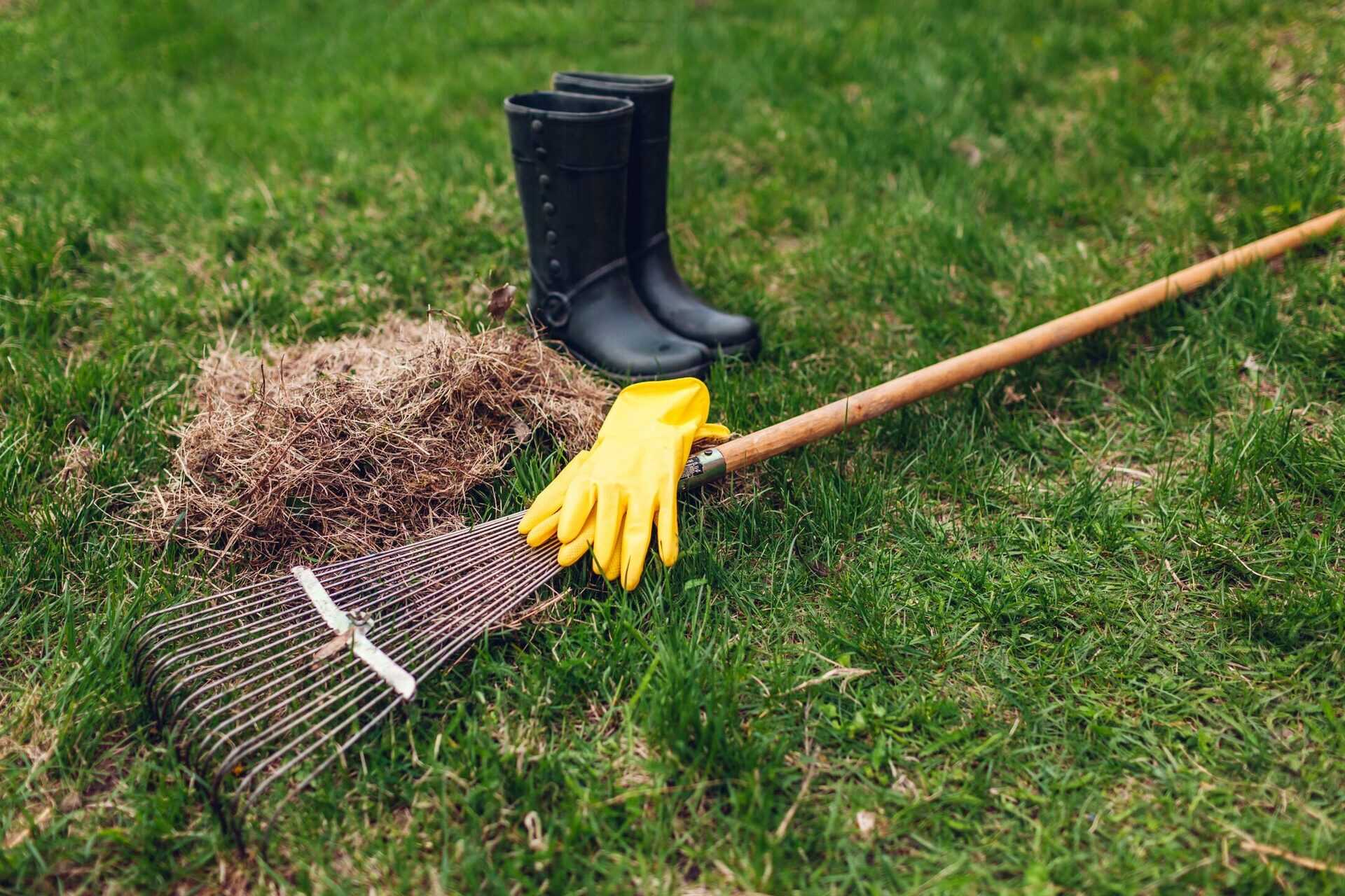 How To Treat Thatch In Lawns