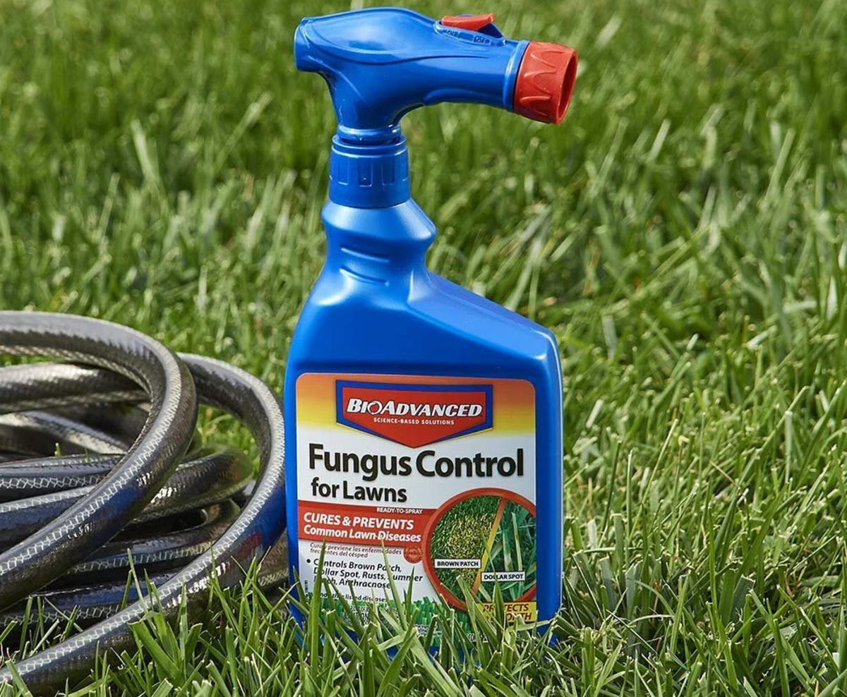 How To Use BioAdvanced Fungus Control For Lawns