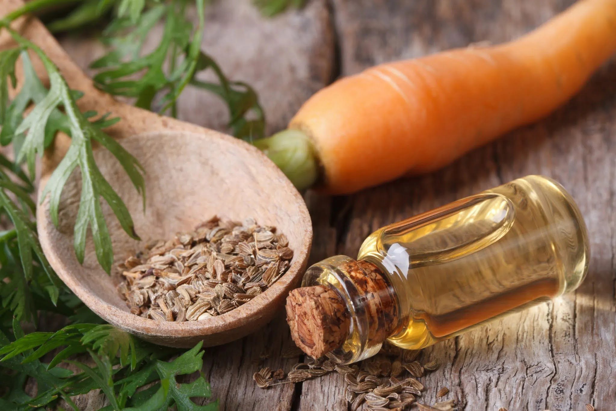 How To Use Carrot Seed Oil For Face