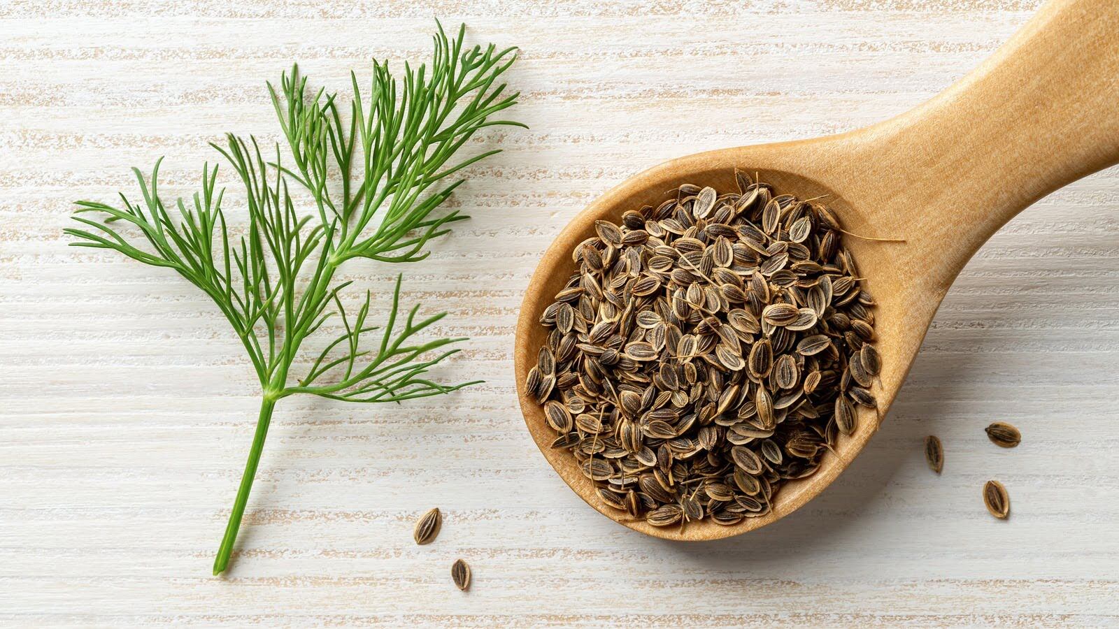 How To Use Dill Seed