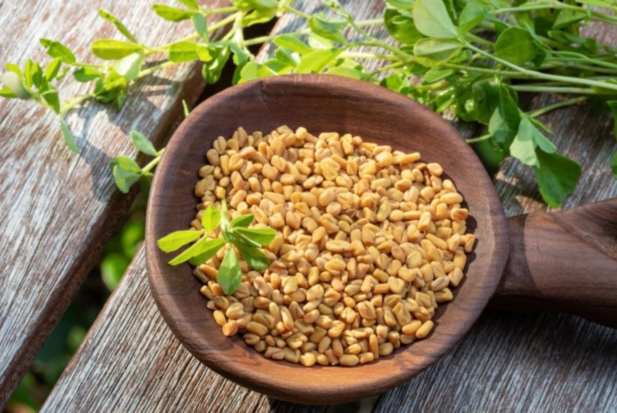 How To Use Fenugreek Seeds