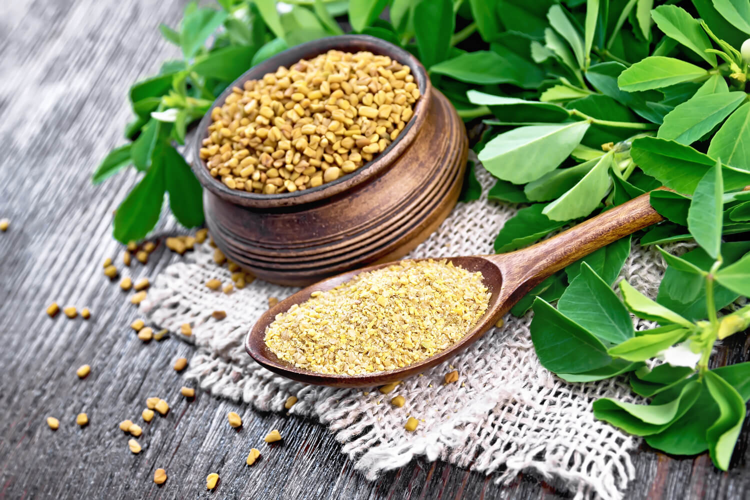 How To Use Fenugreek Seeds To Increase Breast Milk