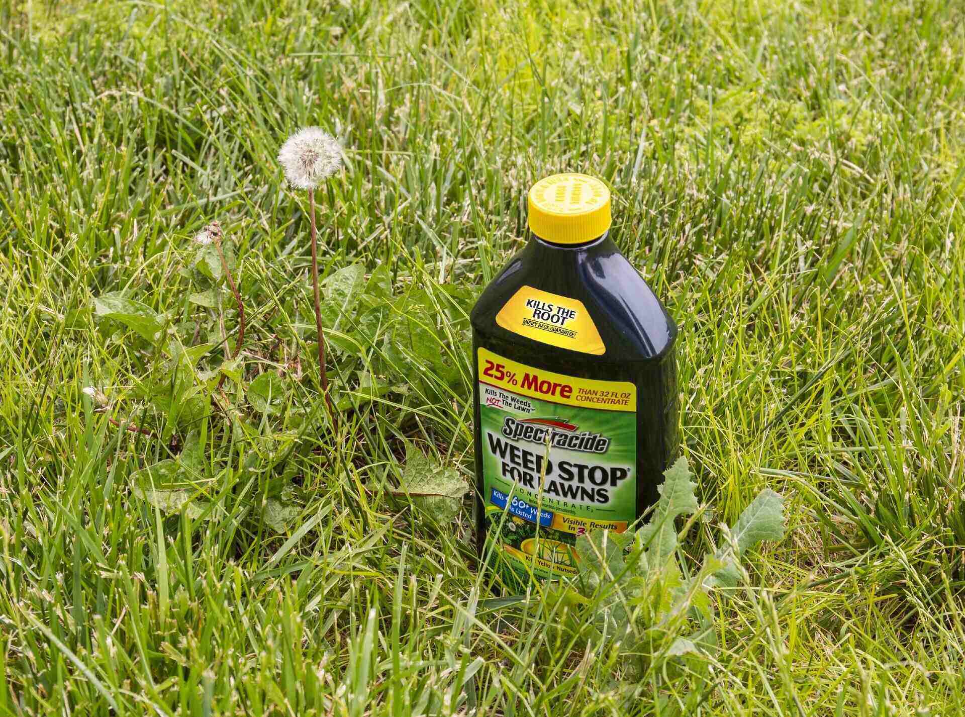 How To Use Spectracide Weed Stop For Lawns