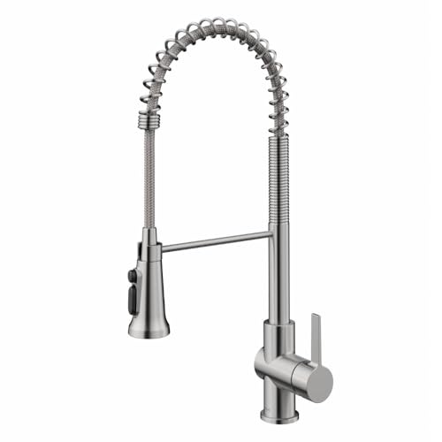 KRAUS Britt 2-in-1 Water Filter Kitchen Faucet