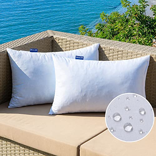 MIULEE Outdoor Pillow Inserts - Set of 2