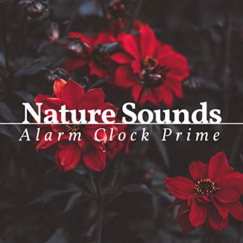 Nature Sounds Alarm Clock Prime