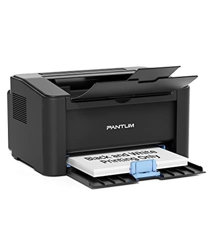 Pantum Wireless Laser Printer P2502W