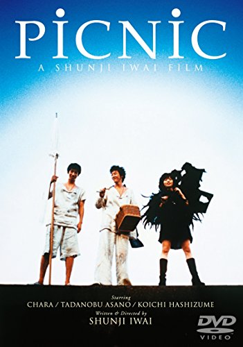 PiCNiC DVD
