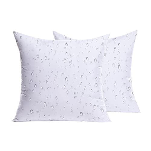 Premium Outdoor Pillow Inserts - Set of 2