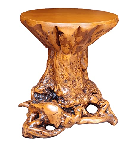 Rustic Tree Stump/Root End Table