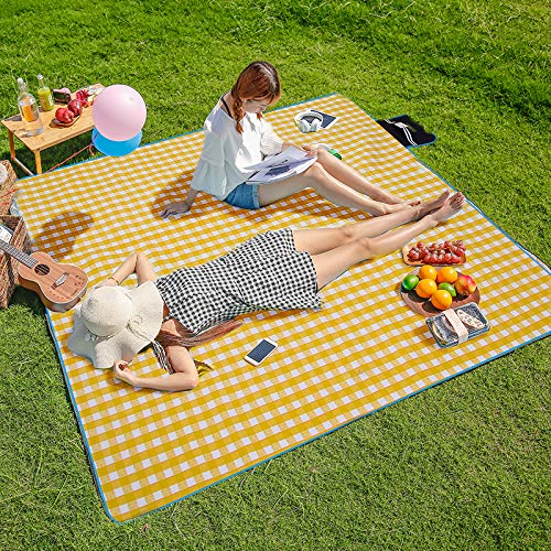 Three Donkeys Picnic Blanket