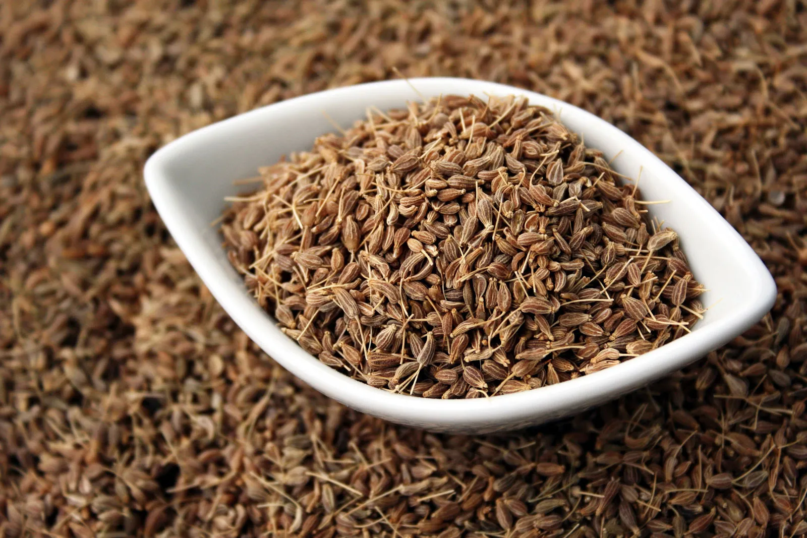 What Are Anise Seeds