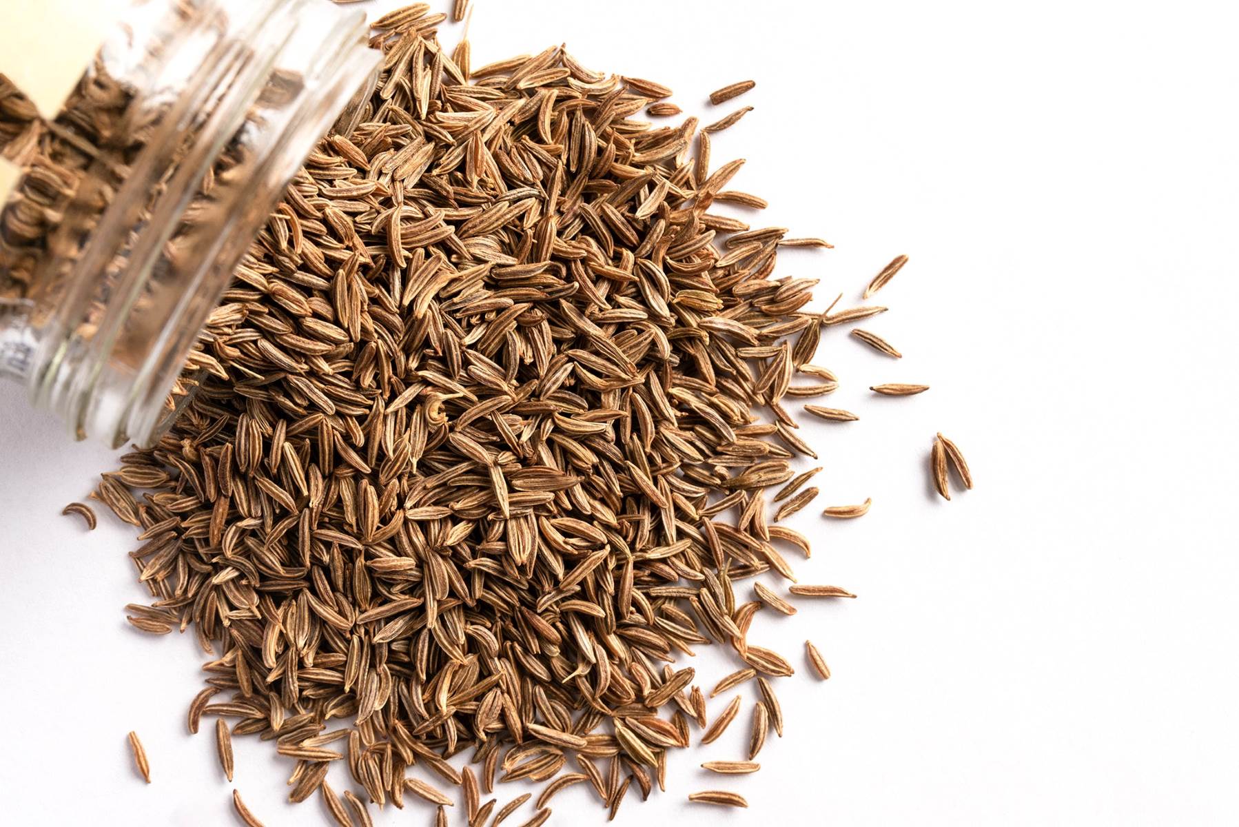 What Are Caraway Seeds