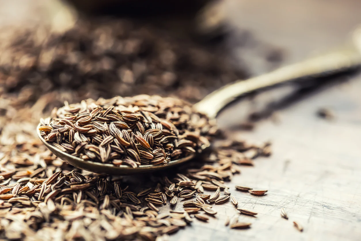 What Are Caraway Seeds In Hindi