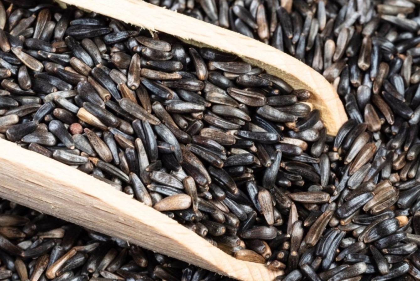 What Are Niger Seeds