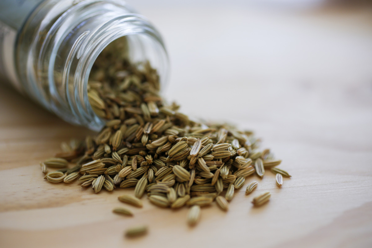 What Are The Benefits Of Fennel Seed