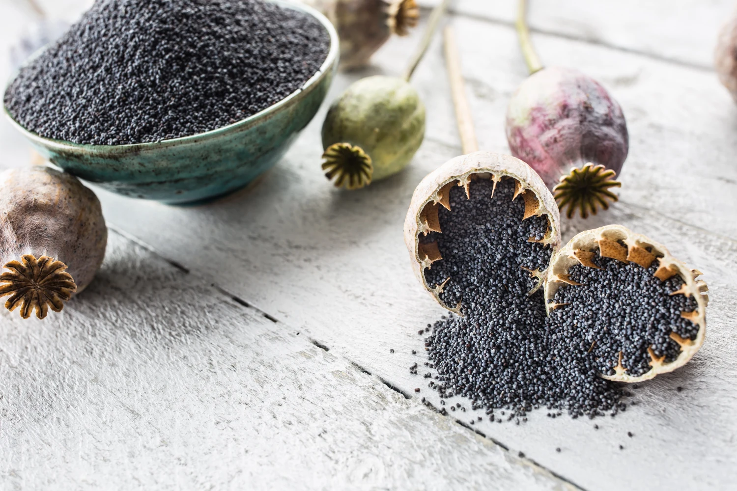 What Are The Best Poppy Seeds For Tea