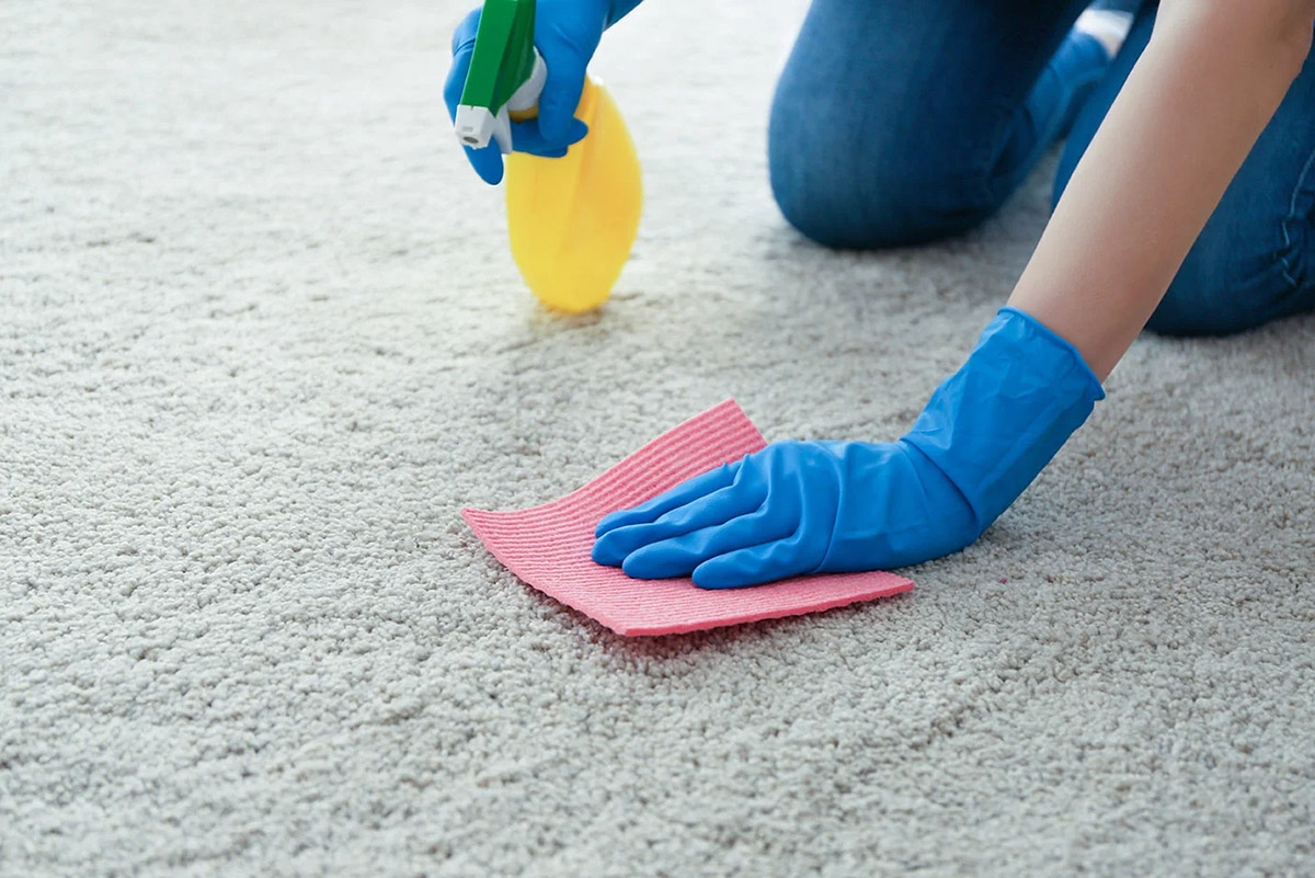 What Can Be Used To Clean A Carpet