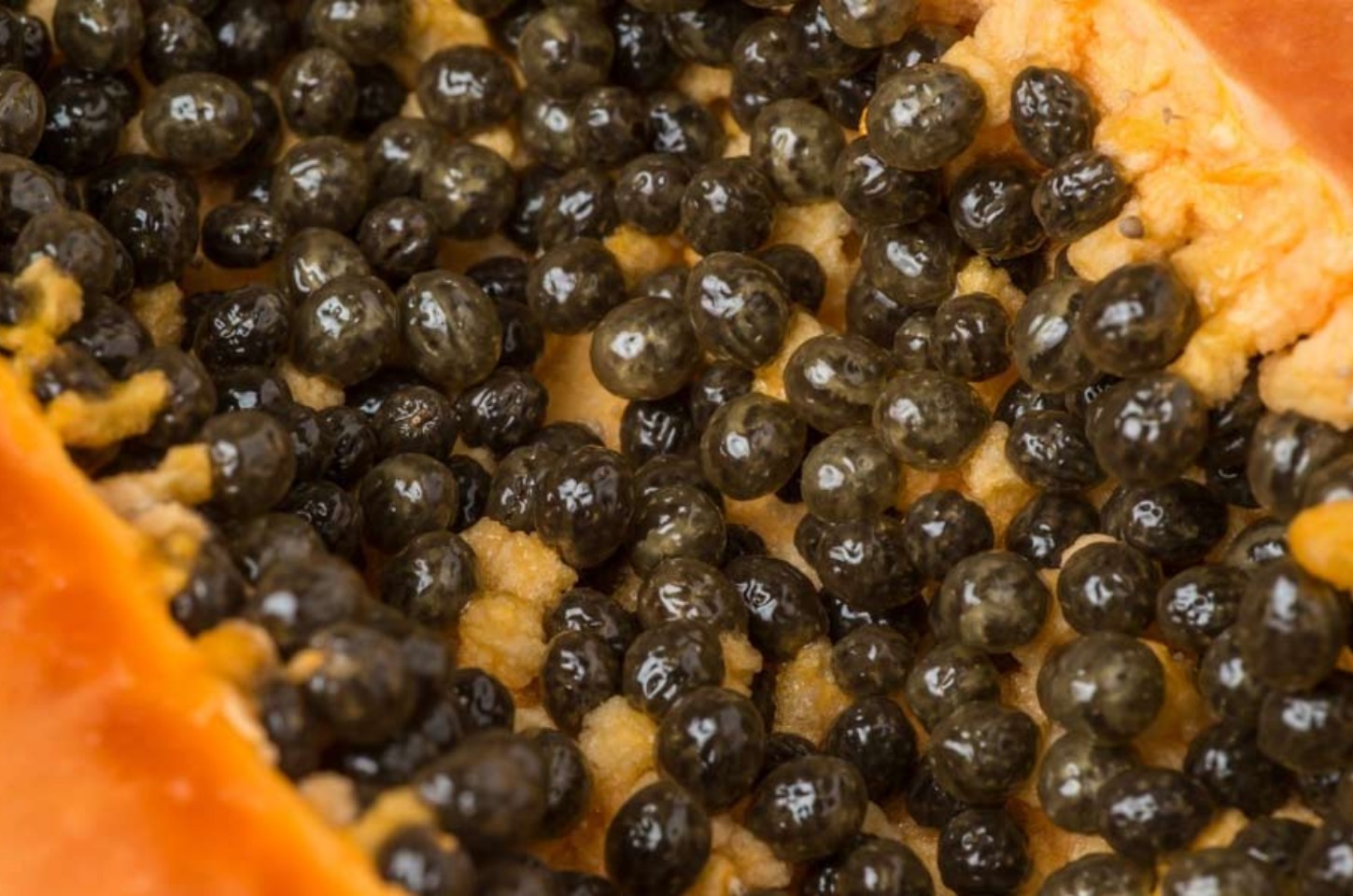 What Can You Do With Papaya Seeds
