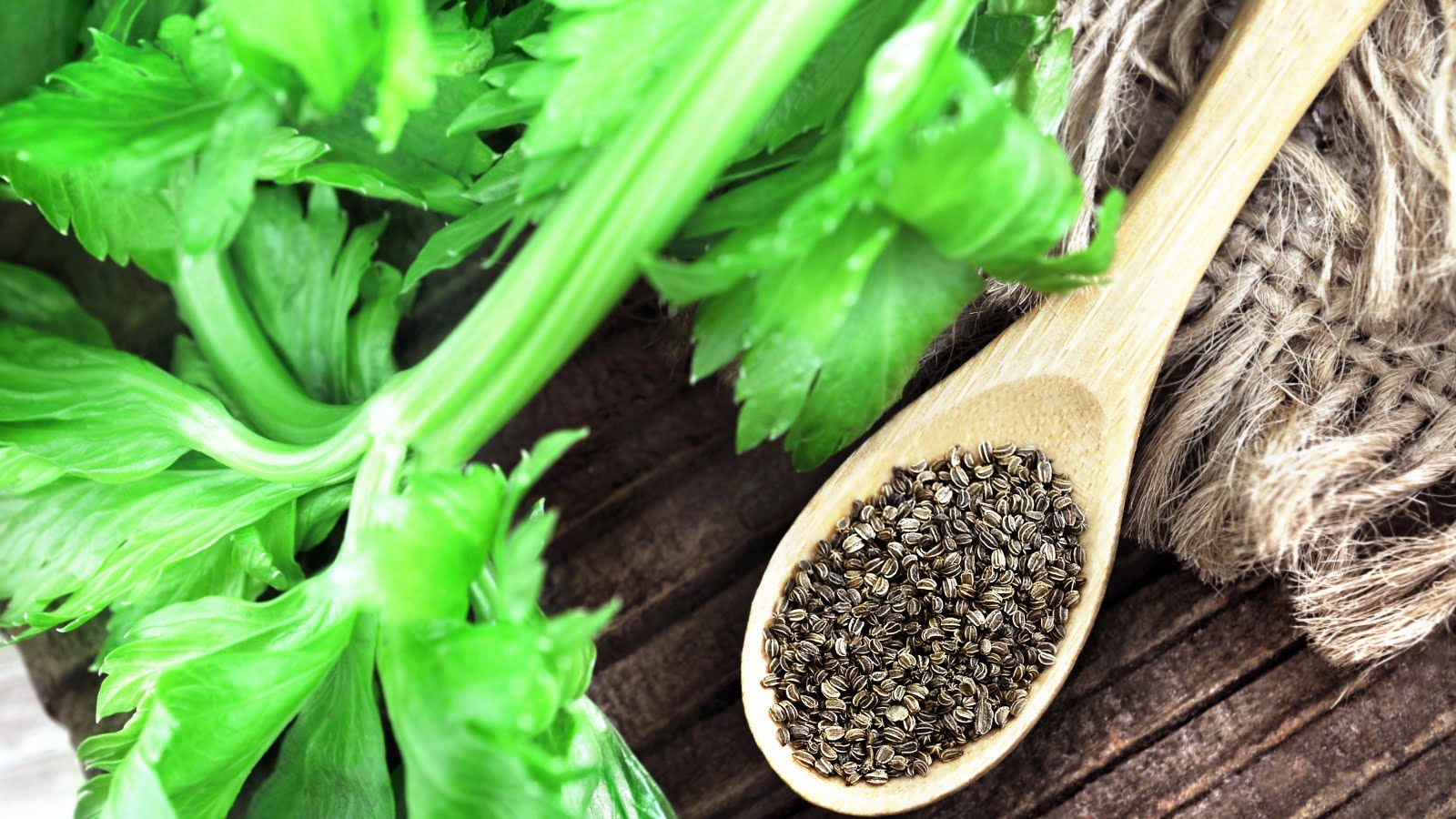 What Do You Use Celery Seed For