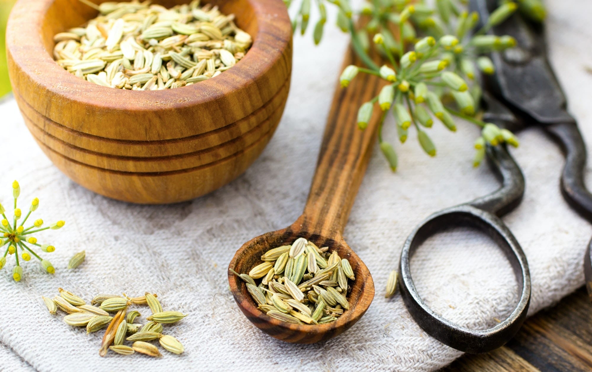What Do You Use Fennel Seed For