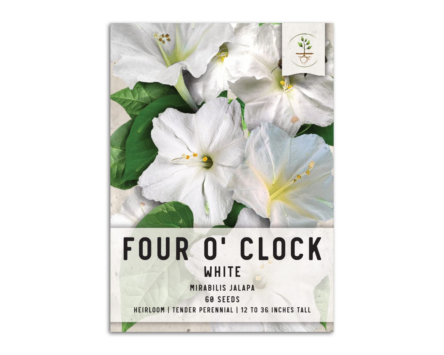 What Does A Four O’clock Seed Packet Look Like