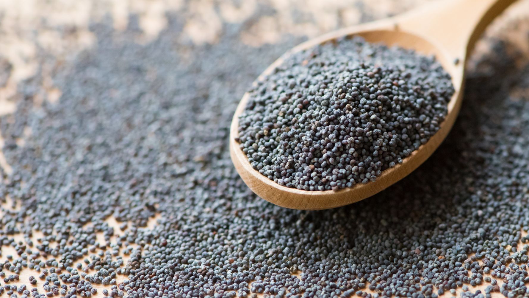 What Does A Poppy Seed Look Like