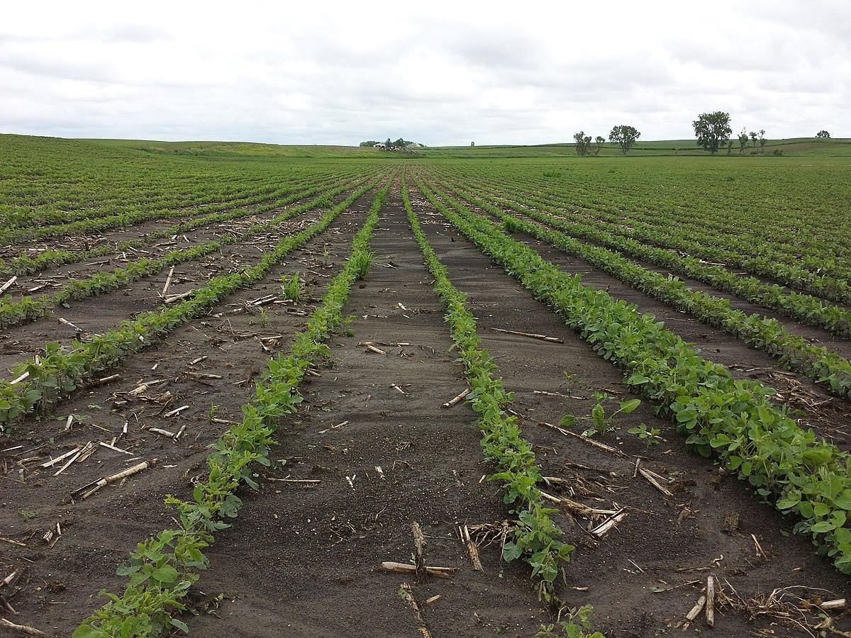 What Does Crop Rotation Replenishment Of Soil